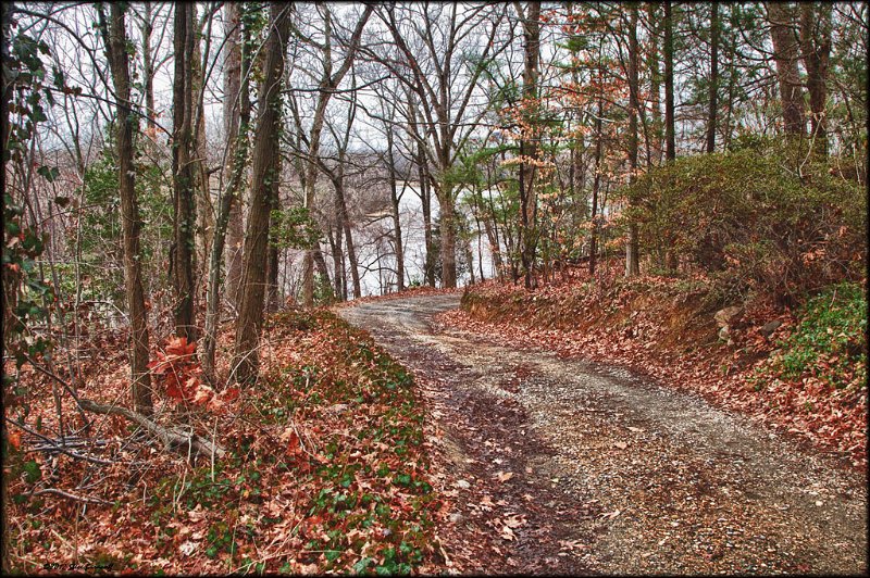 path in henrico.jpg